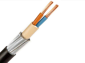35mm 2 Core Steel Wire Armoured SWA Cable from Hongda Cable